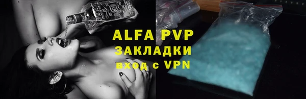 шишки Дмитровск