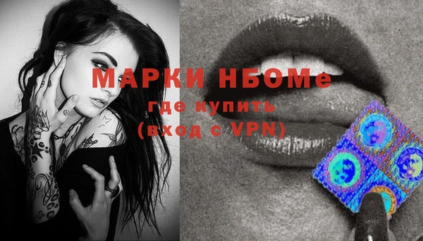 шишки Дмитровск