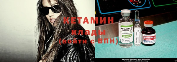 шишки Дмитровск